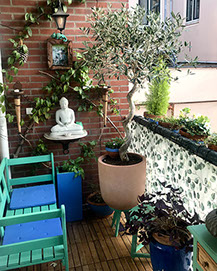 Voorbalkon en bloemen